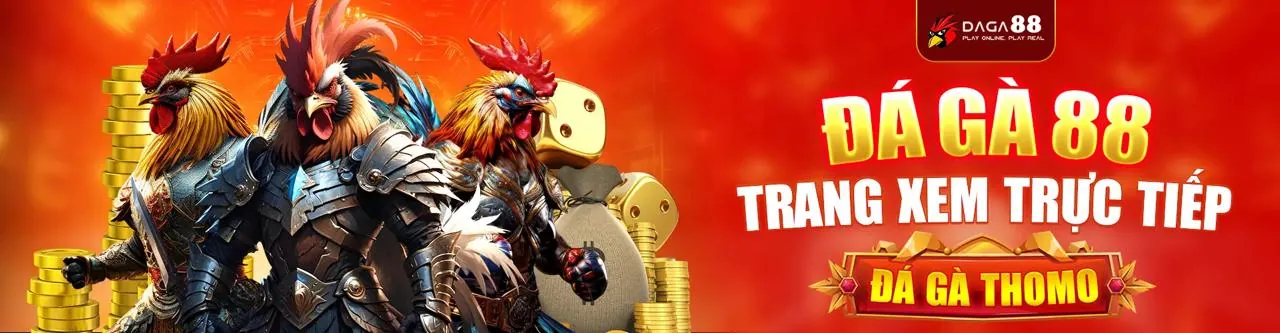 Minh họa cách 999slot thu thập và sử dụng dữ liệu một cách an toàn, với các biểu tượng đại diện cho thông tin đăng ký, giao dịch và phân tích dữ liệu.