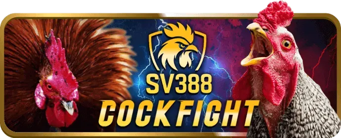 Chiến lược chơi slot 999slot